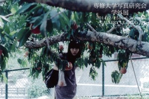 ledeco@ledeco.name_20140131_171250_001