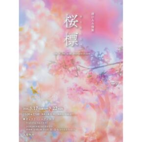 渚ひろみ個展「 桜標  On Time and Portraiture」