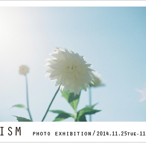 写真の学校／東京写真学園　PHOTO EXHIBITION 『Prism』